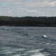 Isle Royale National Park