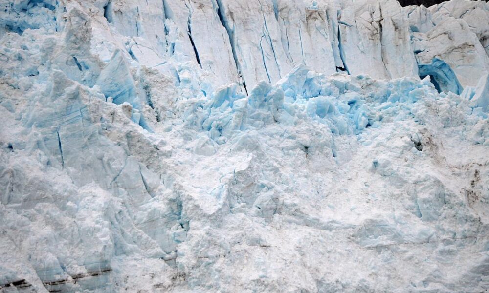 Glacier Bay National Park Alaska