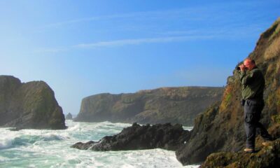 Beautiful Sea Cliff Coastal Rock