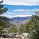 Pine Forest Nature Destinations