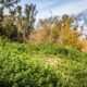Forest Nature Trails Walking