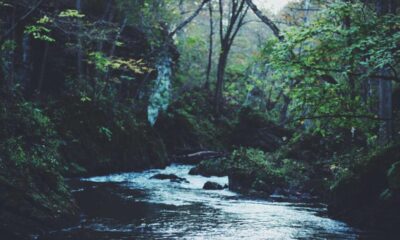 Jungle Trekking Adventure Lovers