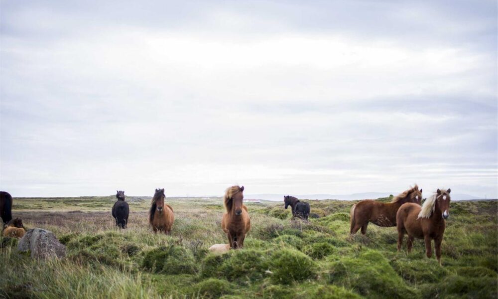 Patagonia Spots