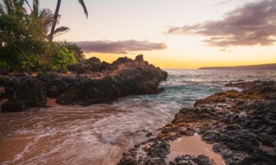 Ocean Nature Sea Wave Coast
