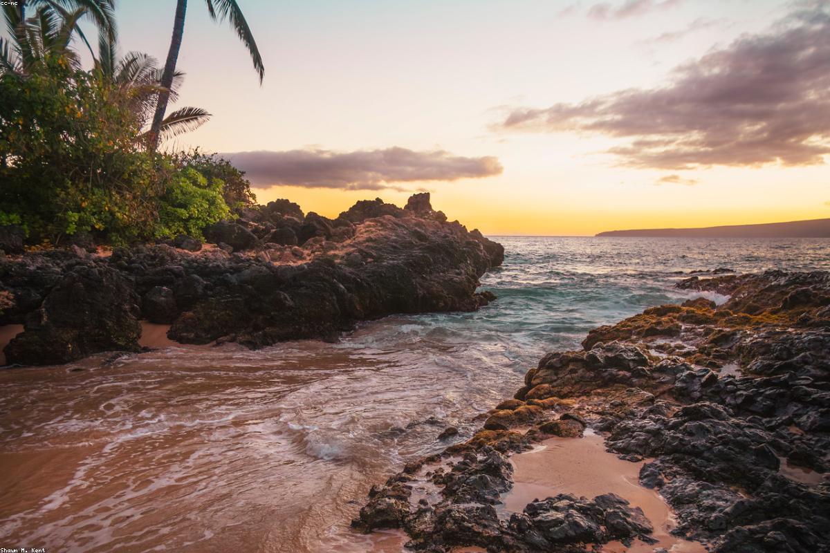 Ocean Nature Sea Wave Coast