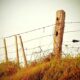 Endangered Animal Habitats Protecting