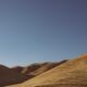 Desert Oasis