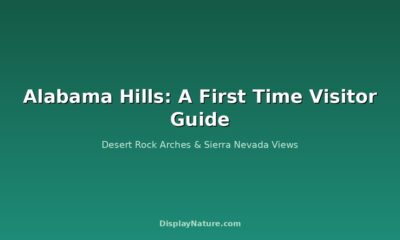 Alabama Hills: A First Time Visitor Guide
