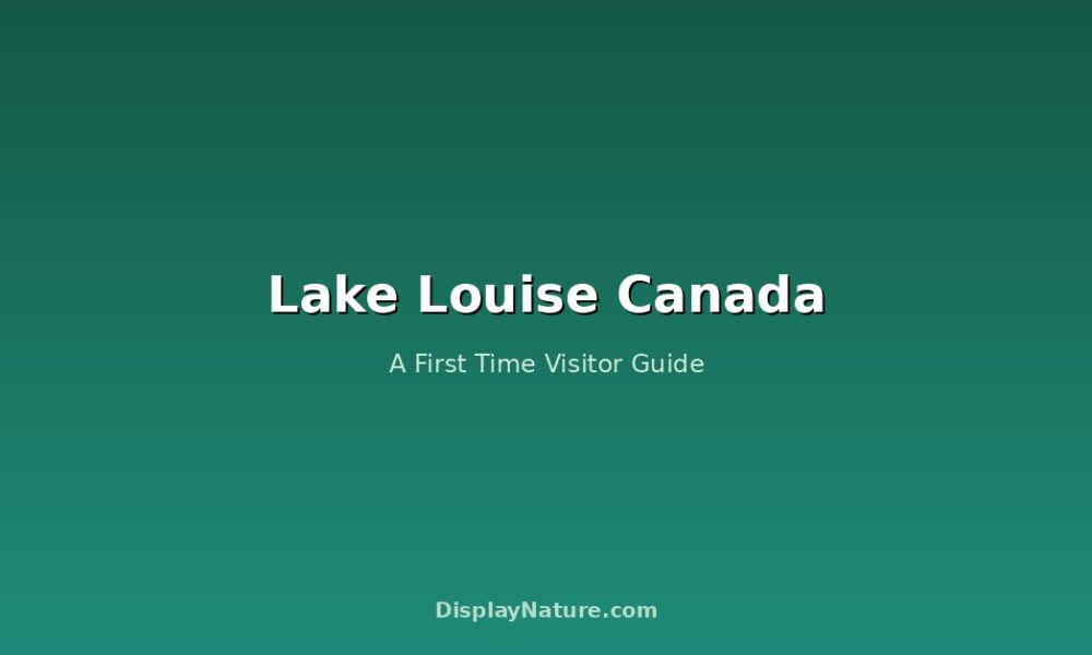 Lake Louise Canada: A First Time Visitor Guide