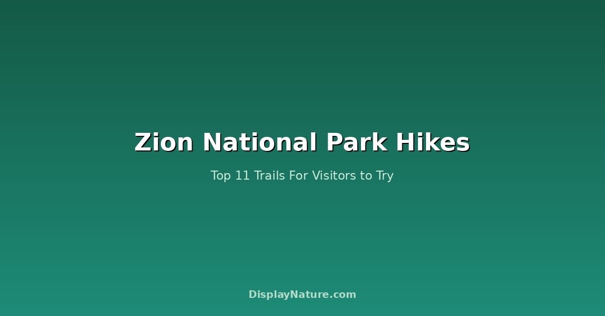 Zion National Park Hikes: Top 11 Trails For Visitor to Try
