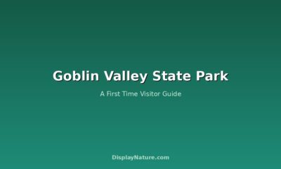 Goblin Valley State Park: A First Time Visitor Guide