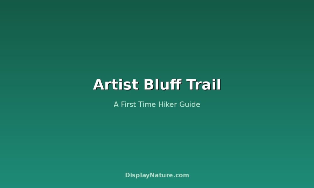 Artist Bluff Trail: A First Time Hiker Guide