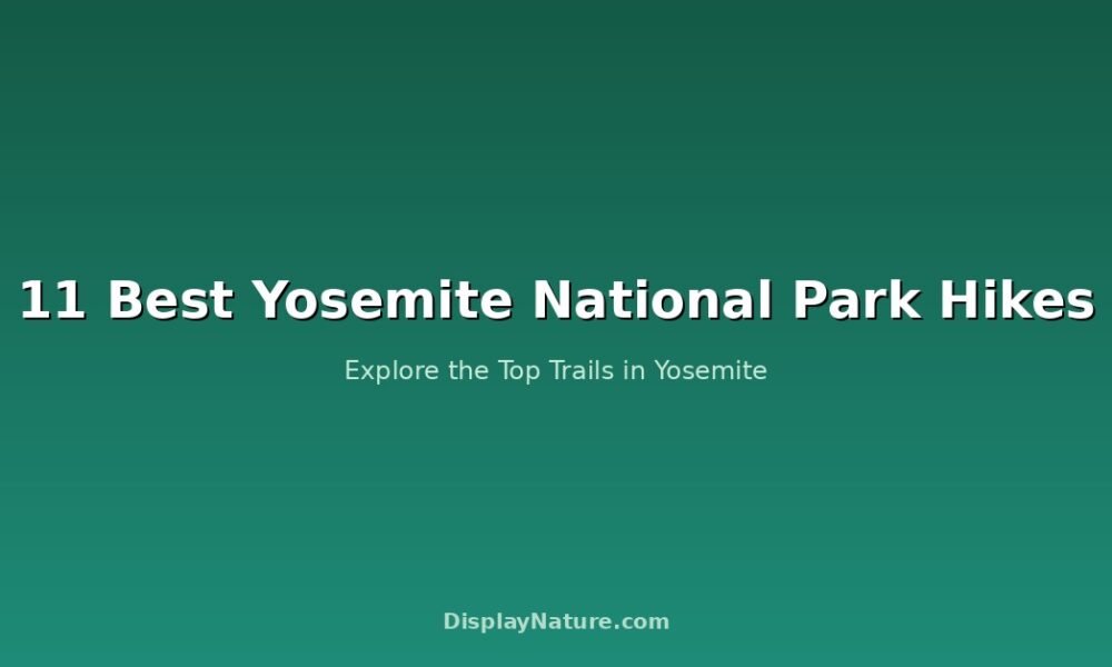 11 Best Yosemite National Park Hikes