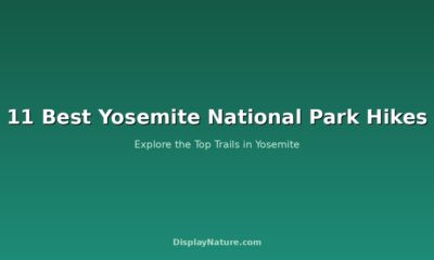11 Best Yosemite National Park Hikes