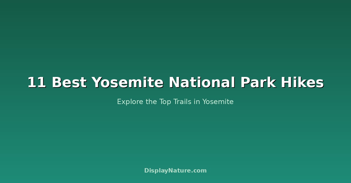 11 Best Yosemite National Park Hikes