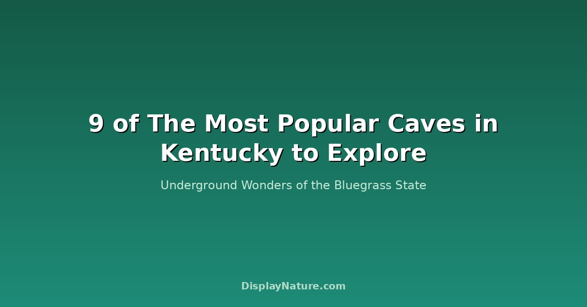 9 of The Most Popular Caves in Kentucky to Explore