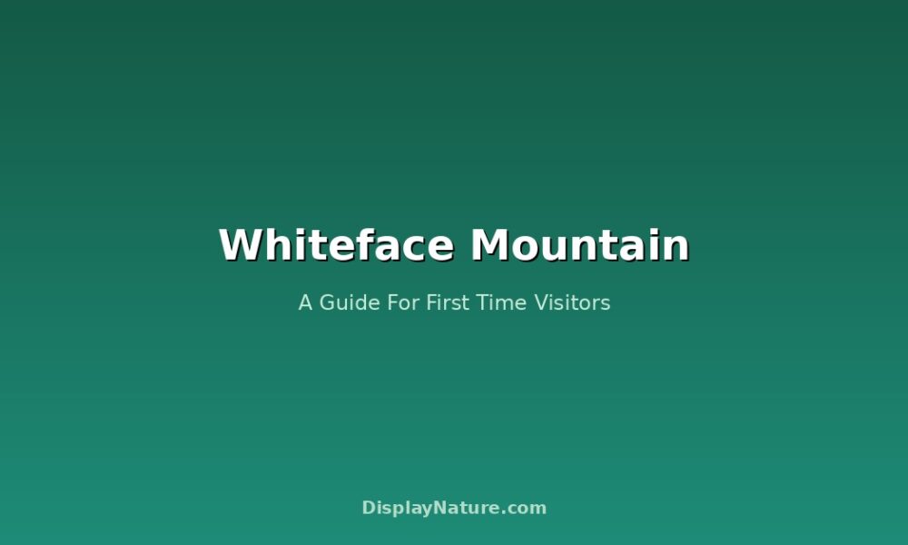 Whiteface Mountain: A Guide For First Time Visitors
