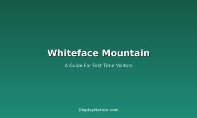 Whiteface Mountain: A Guide For First Time Visitors