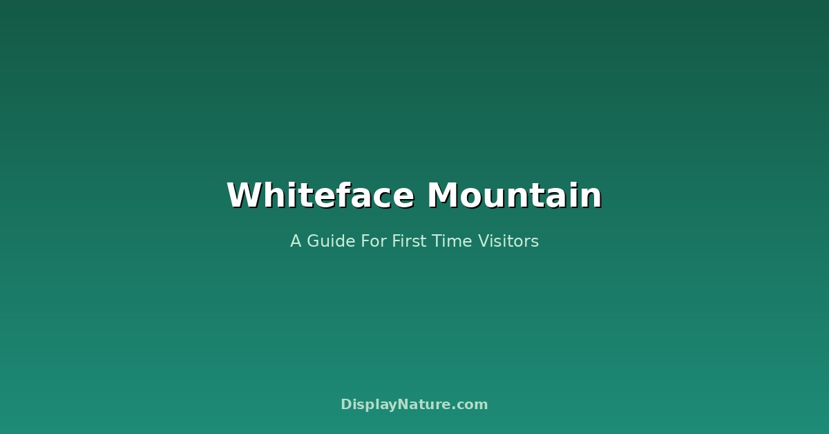 Whiteface Mountain: A Guide For First Time Visitors