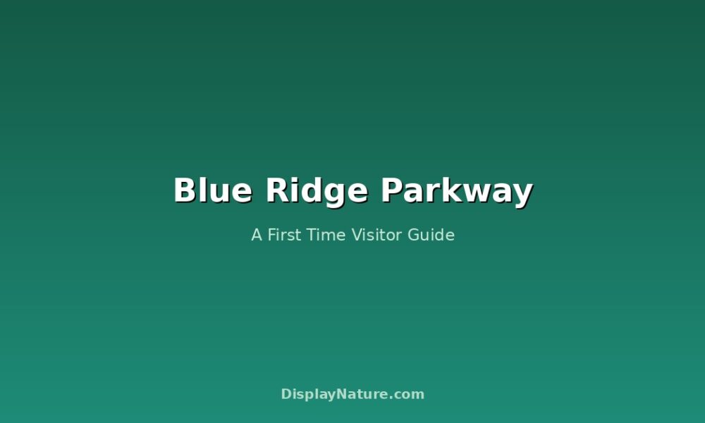 Blue Ridge Parkway: A First Time Visitor Guide