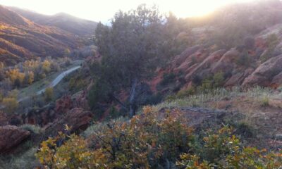 10 Best Places to See Fall Foliage in Utah