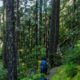 5 Best Dogs For Hiking And Protection