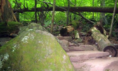 Best Hiking Trails In New York For Beginners