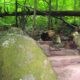 Best Hiking Trails In New York For Beginners