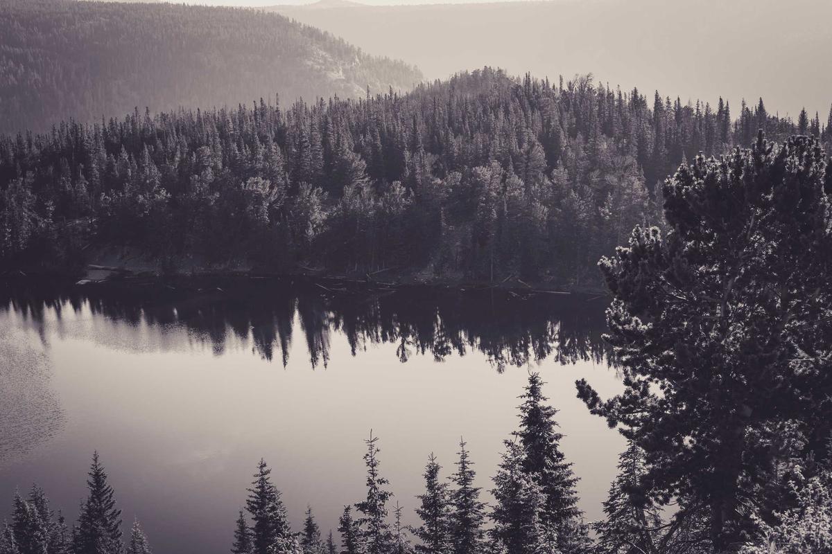 The Closest Airport to Yosemite National Park
