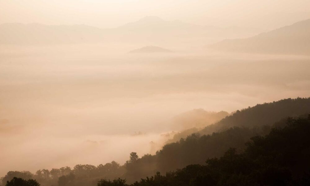 South Carolina Hidden Gems