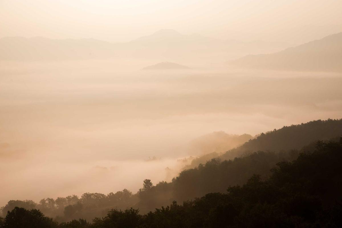 South Carolina Hidden Gems