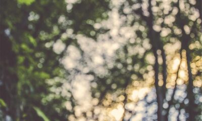 Georgia Hidden Gems