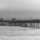 featured img 194