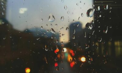 featured img 199