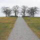 featured img 426