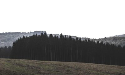 featured img 442