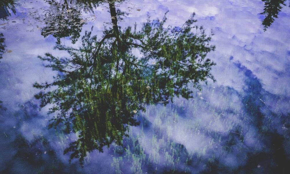 featured img 453