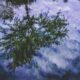 featured img 453