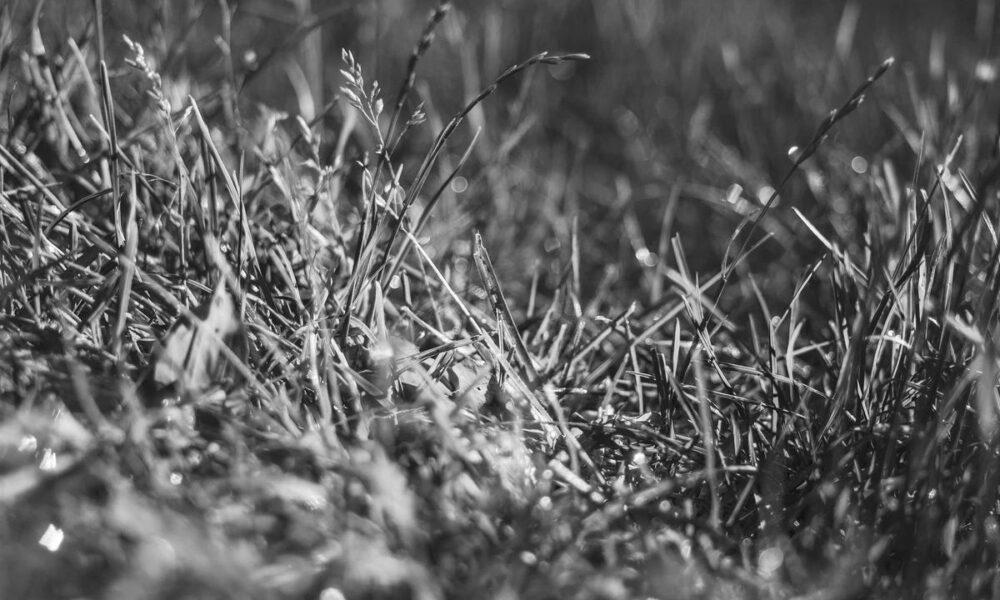 featured img 466