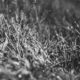 featured img 466