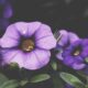 featured img 484