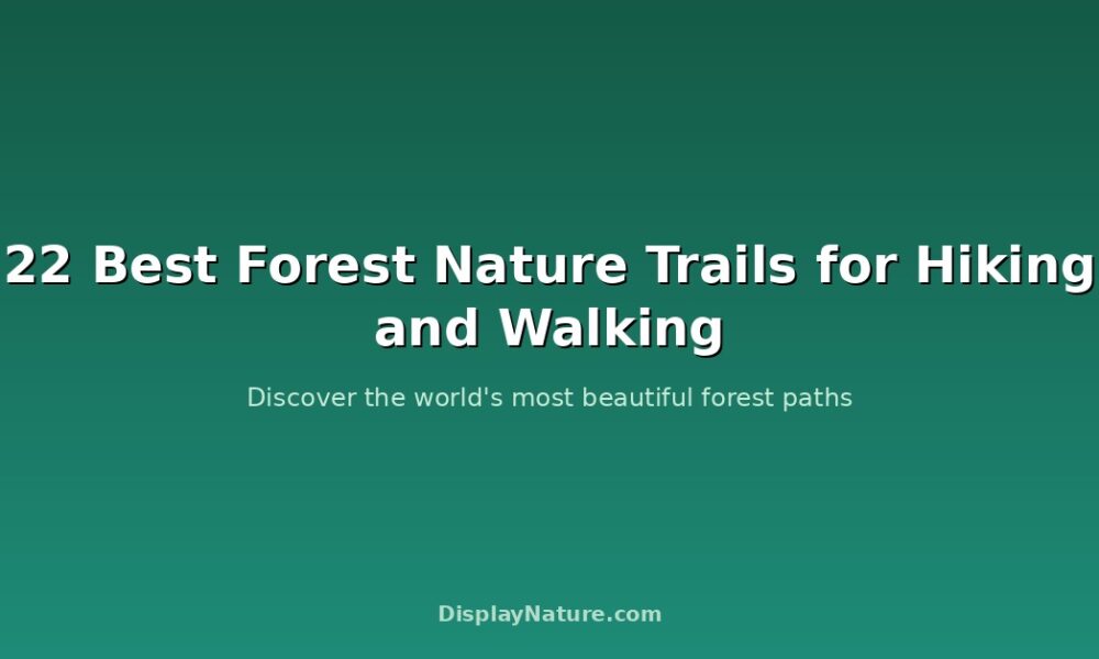 forest nature trails