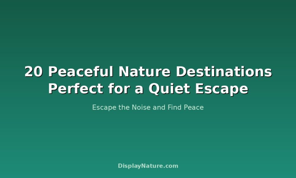 peaceful nature
