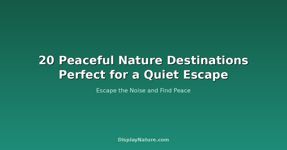 peaceful nature